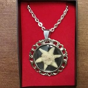 🌟Edelweiss flower necklace🌟